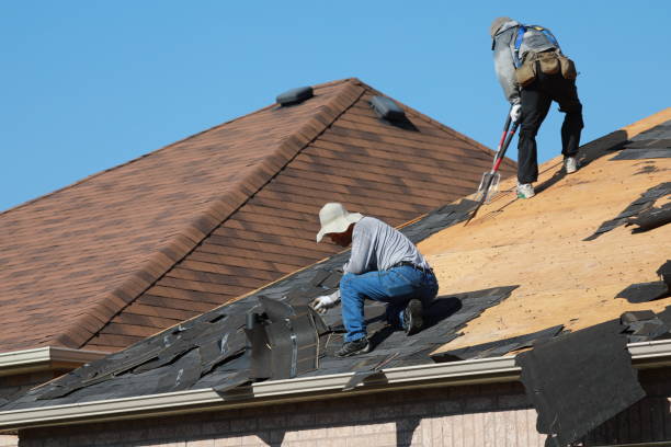 Best Gutter Installation and Repair  in Tennessee Ridge, TN