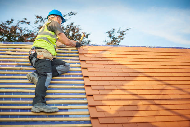 Professional Roofing and repair in Tennessee Ridge, TN